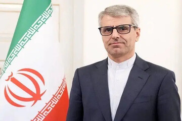 بقایی: ایرانیان ثابت کردند که ملت امام حسین هستند
