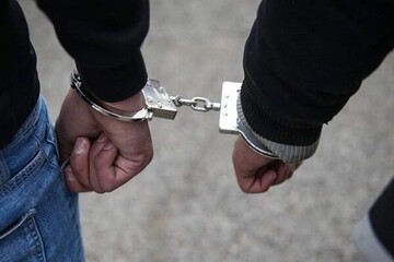 بازداشت عامل نزاع دسته جمعی در پیروزی تهران