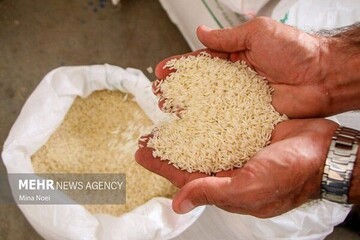 اعلام قیمت مصوب برنج در بازار