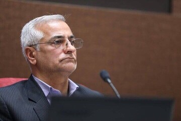 ۴۹۰ هزار تبعه غیرمجاز کشور را ترک کردند
