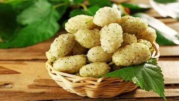 میوه‌ای که برای خود یک داروی ضد افسردگی است