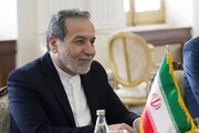 لحظه ورود وزیر امور خارجه ایران به محل اجلاس سران کشورهای عضو بریکس در ریودوژانیرو + فیلم