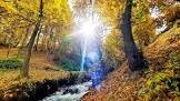 ورود گرمای هوا به شمال کشور