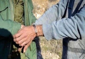 بز وحشی در میبد از مرگ نجات یافت