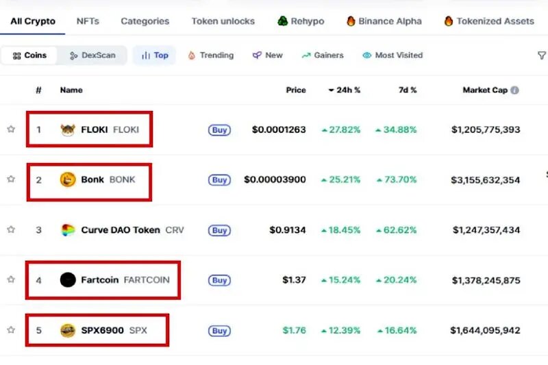 تحمع میم کوین ها در لیست ارزهای برنده کوین مارکت کپ - فرارو