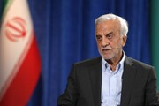 هاشمی طبا: اصلاحات ساختاری به قانون اساسی ربطی ندارد