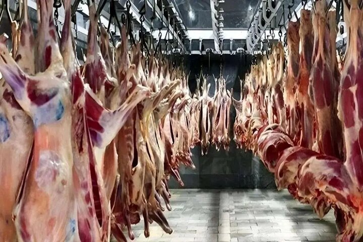 عامل گرانیِ گوشت و لبنیات مشخص شد