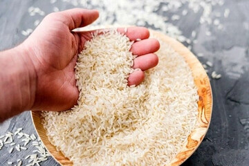 برنج ایرانی ارزان شد