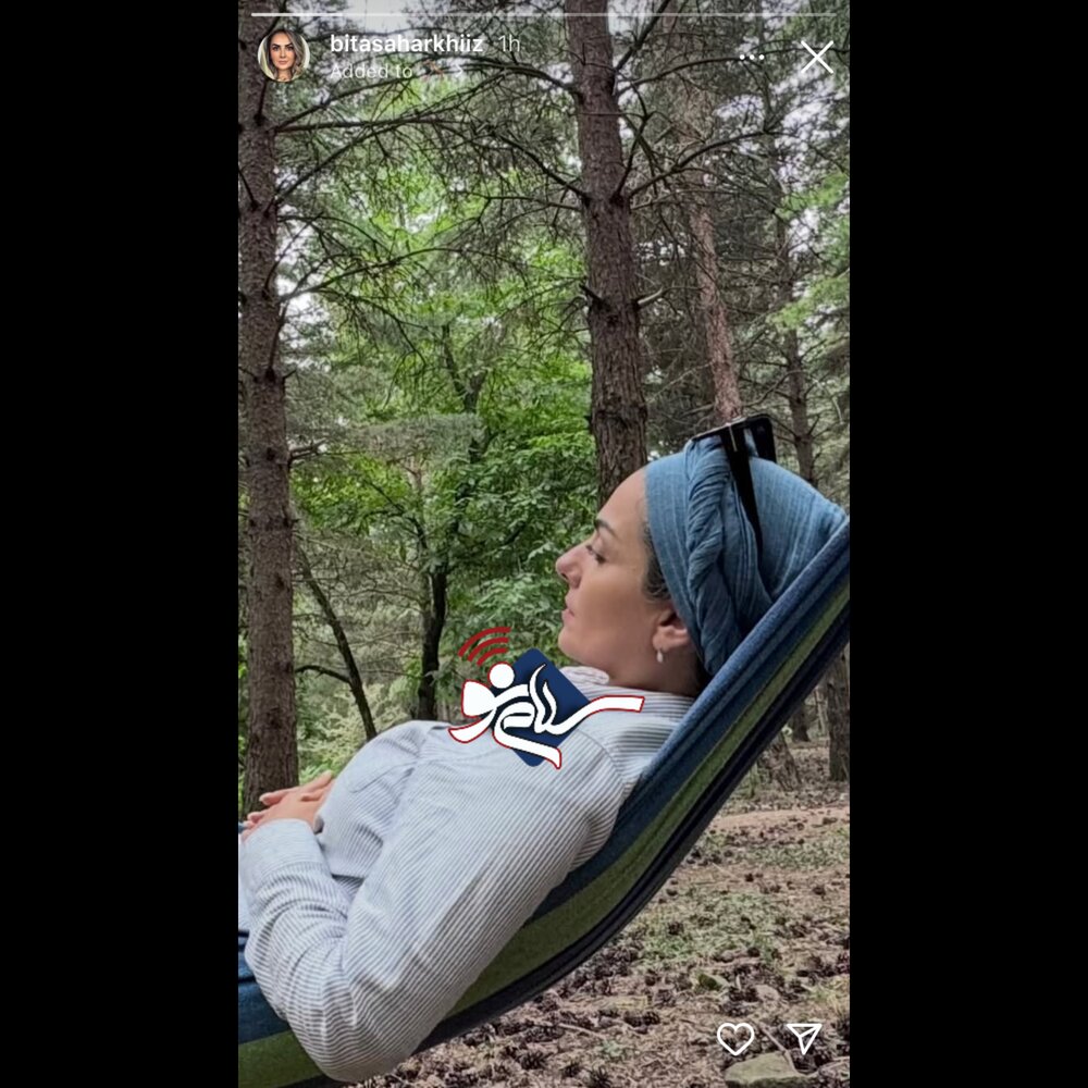 نبتببت