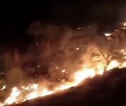 آتش سوزی شدید در مراتع شهرستان دشتستان
