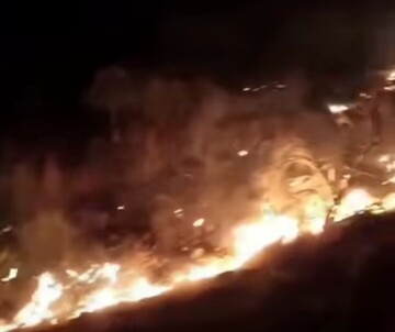 آتش سوزی شدید در مراتع شهرستان دشتستان