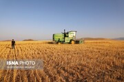 واریز ۲۰ هزار میلیارد تومان بابت خرید تضمینی گندم‌