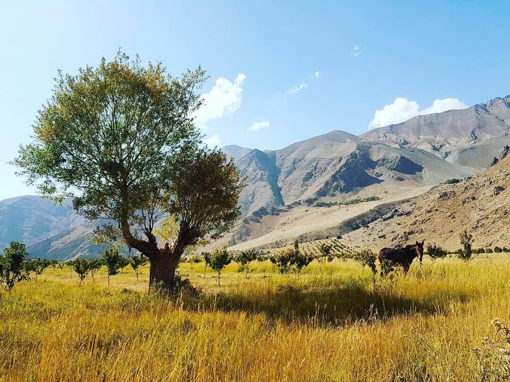 ماجراجویی تابستانی در یک‌قدمی پایتخت/ معرفی ۵ مقصد بکر اطراف تهران
