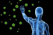 تقویت سیستم ایمنی بدن با این گیاه معجزه گر