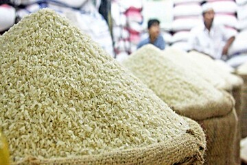 دلیل اصلی افزایش قیمت برنج در بازار چیست؟