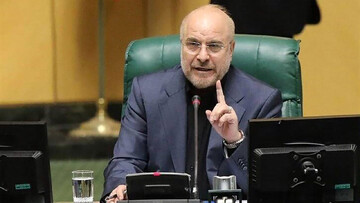 رئیس مجلس شورای اسلامی: ملت ایران استبدادپذیر نیست