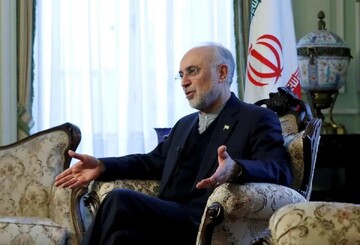 علی اکبر صالحی: ایده «ظریف» برای کنسرسیوم هسته‌ای، حرف جدیدی نیست و از قبل انقلاب مطرح بوده