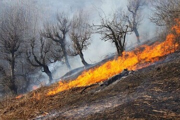 حریق وحشتناک در سفیدکوه خرم‌آباد + جزییات حادثه