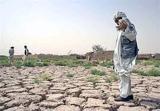100 درصد مساحت سیستان و بلوچستان درگیر خشکسالی است