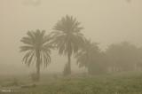 گرد و غبار مهمان روزهای آینده خوزستانی ها