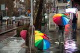 بارش باران،برف و وزش باد در استان تهران پیش بینی می شود