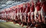 واردات 40 تن گوشت گرم به کشور