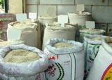 واردات برنج نسبت به سال گذشته افزایش یافت