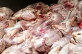 دستگیری فردی که به صورت غیر بهداشتی اقدام به ذبح و بسته بندی گوشت مرغ می کرد