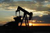 چرا قیمت نفت ناگهان رشد کرد؟
