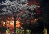 آتش سوزی مهیب در کره جنوبی
