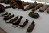 کشف  مقبره حیوانات مومیایی شده در مصر