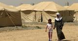 آماری تکان دهنده از  اردوگاه الهول در سوریه