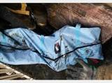 کشف جسد زن بوشهری در دلوار