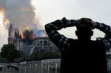 واکنش‌ها به آتش سوزی نوتردام در دنیای مجازی