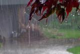 بارندگی شدید در انتظار چهارمحال و کهگیلویه