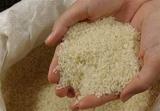 قیمت برنج سر به فلک کشید!