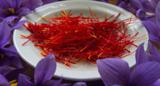 افزایش 20 تنی تولید زعفران افغانستان