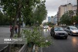 طوفان تهران  را درنوردید+ تصاویر