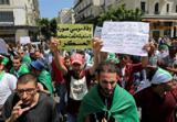 مردم الجزایر ضد رئیس‌جمهور مصر تظاهرات کردند