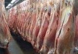 ۳۵ هزار تن گوشت گوساله با ارز نیمایی وارد شده است