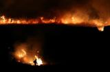 آتش به جان جنگل‌های سریلانکا افتاد