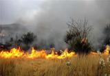 آتش نیروهای منابع طبیعی در ارتفاعات باشت را محاصره کرده است!