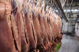 کاهش 30 درصدی تولید گوشت قرمز در ایران