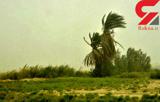 توفانی خوفناک شمال سیستان و بلوچستان را درنوردید