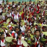 ۲۲۰ میلیون اصله درخت در هند در یک روز کاشته شد