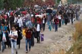 اخراج  بیش از 16 هزار پناهجو غیرقانونی از استانبول