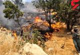 علل نامعلوم  آتش گرفتن۱۶ هکتار از مزارع کشاورزان ایلامی