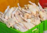 قیمت مرغ در نزدیکی 13 هزار تومان
