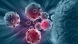 محققان تبریزی داروی گیاهی ضدسرطان را ساختند