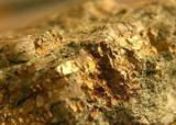 جستجو برای یافتن رگه اصلی طلا در کیبرکوه